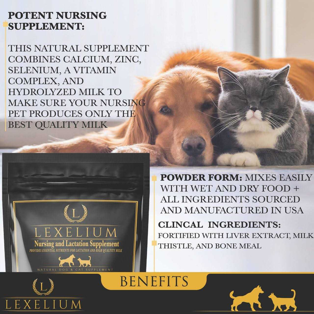 Nursing and Lactation Supplement for Dogs and Cats I56942