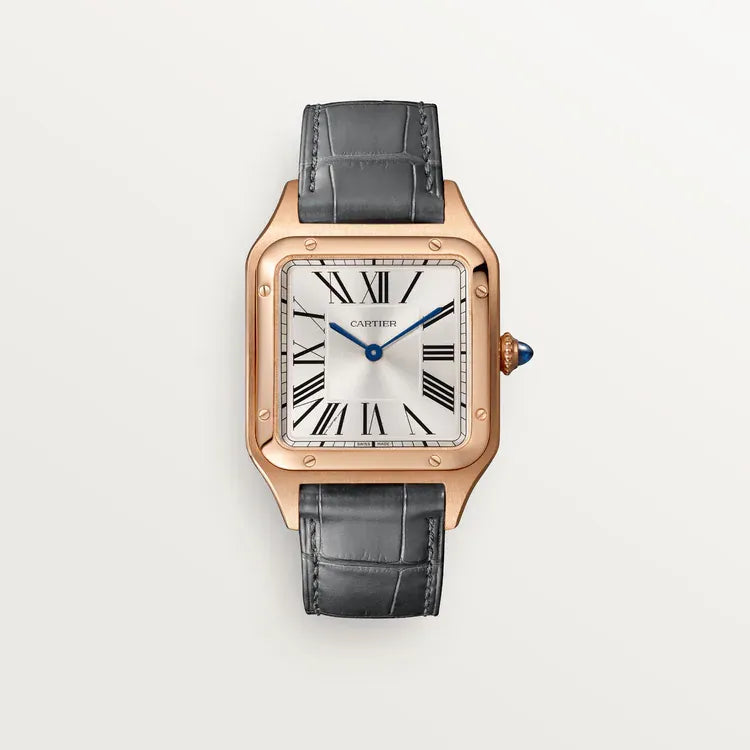 Colorful Ladies Men's Unisex Watch V930