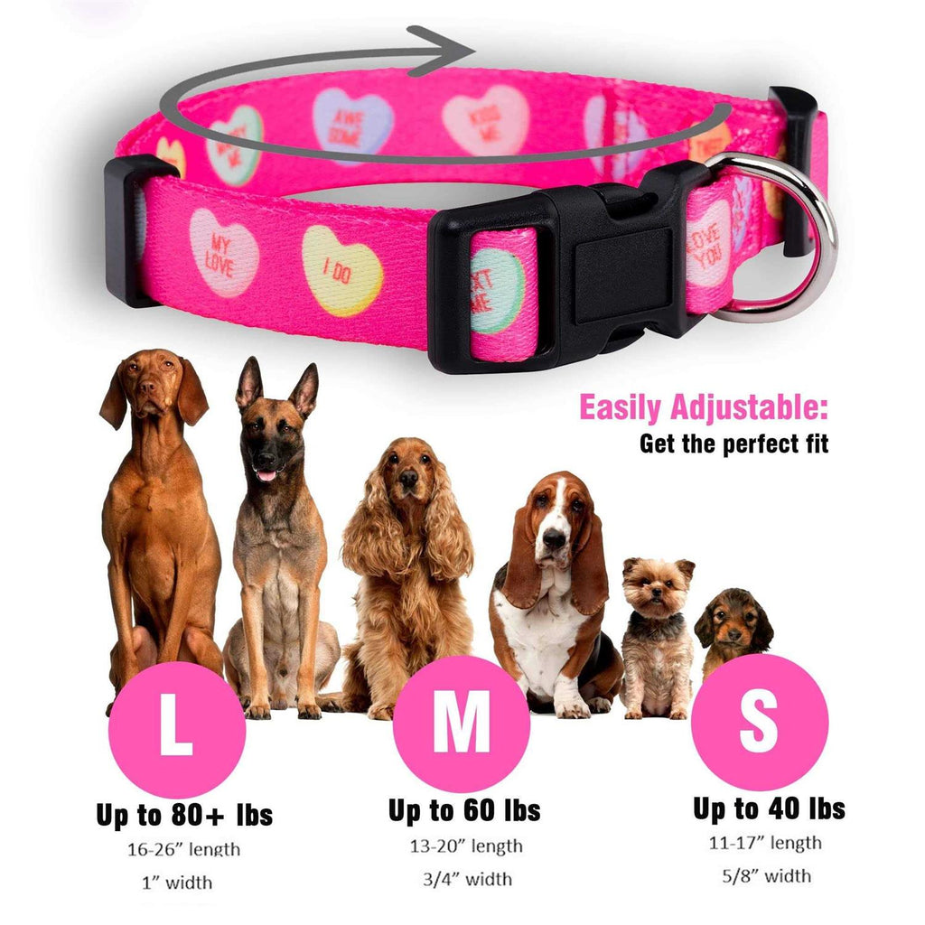 Valentines Day Heart Dog Collar S62594