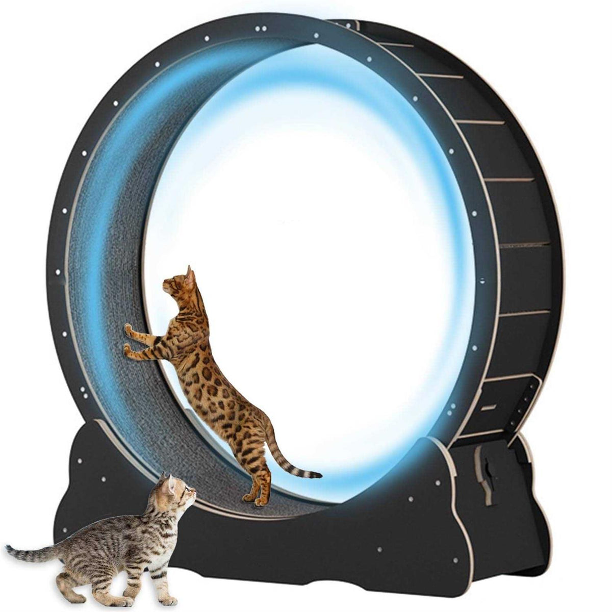 40 inch Solid Wood Cat Exercise Wheel L2041