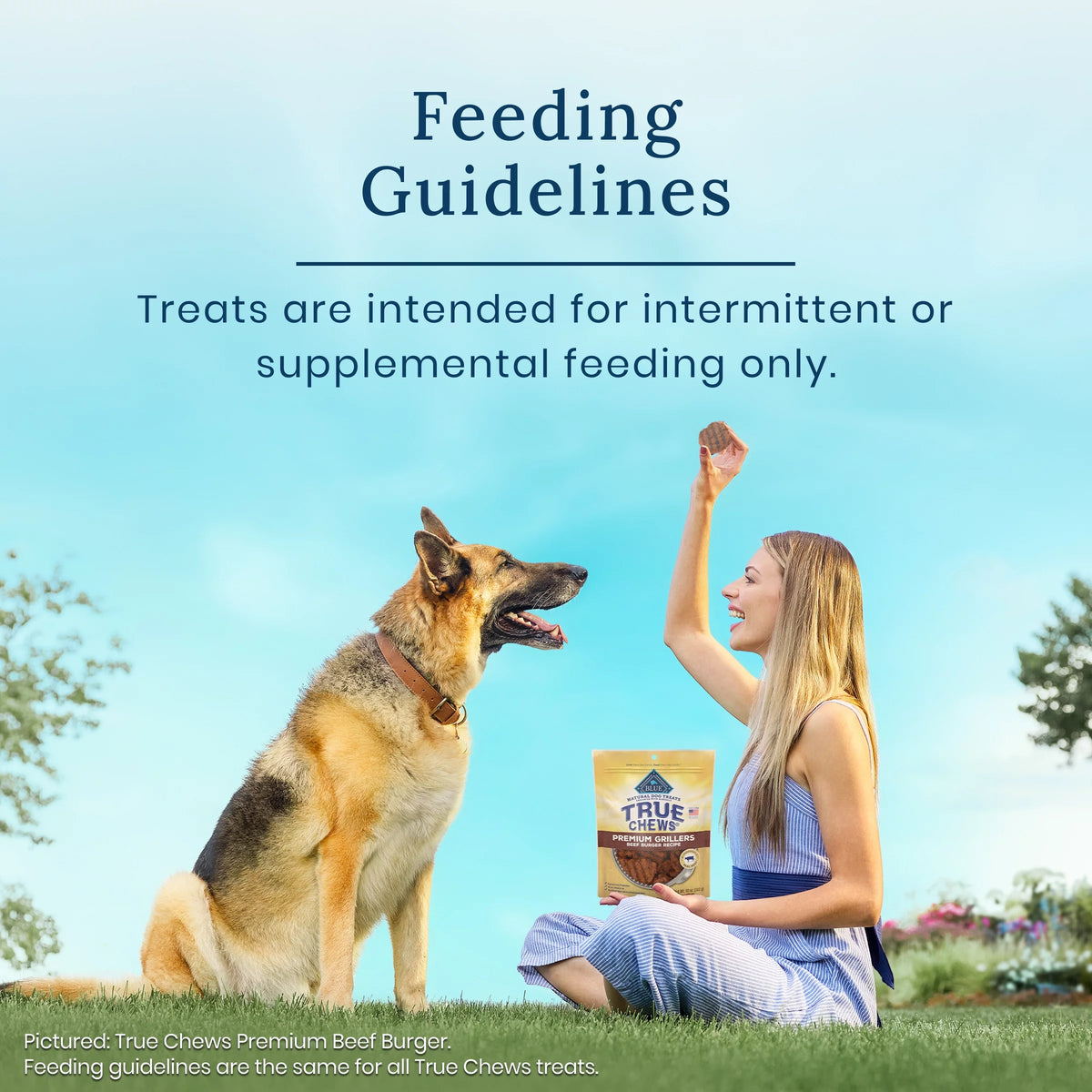 Natural Dog Treats Steak 30 oz Bag F238