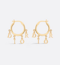 Earrings Q862