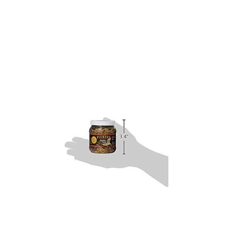 Bearded Dragon Medley Treat K12660