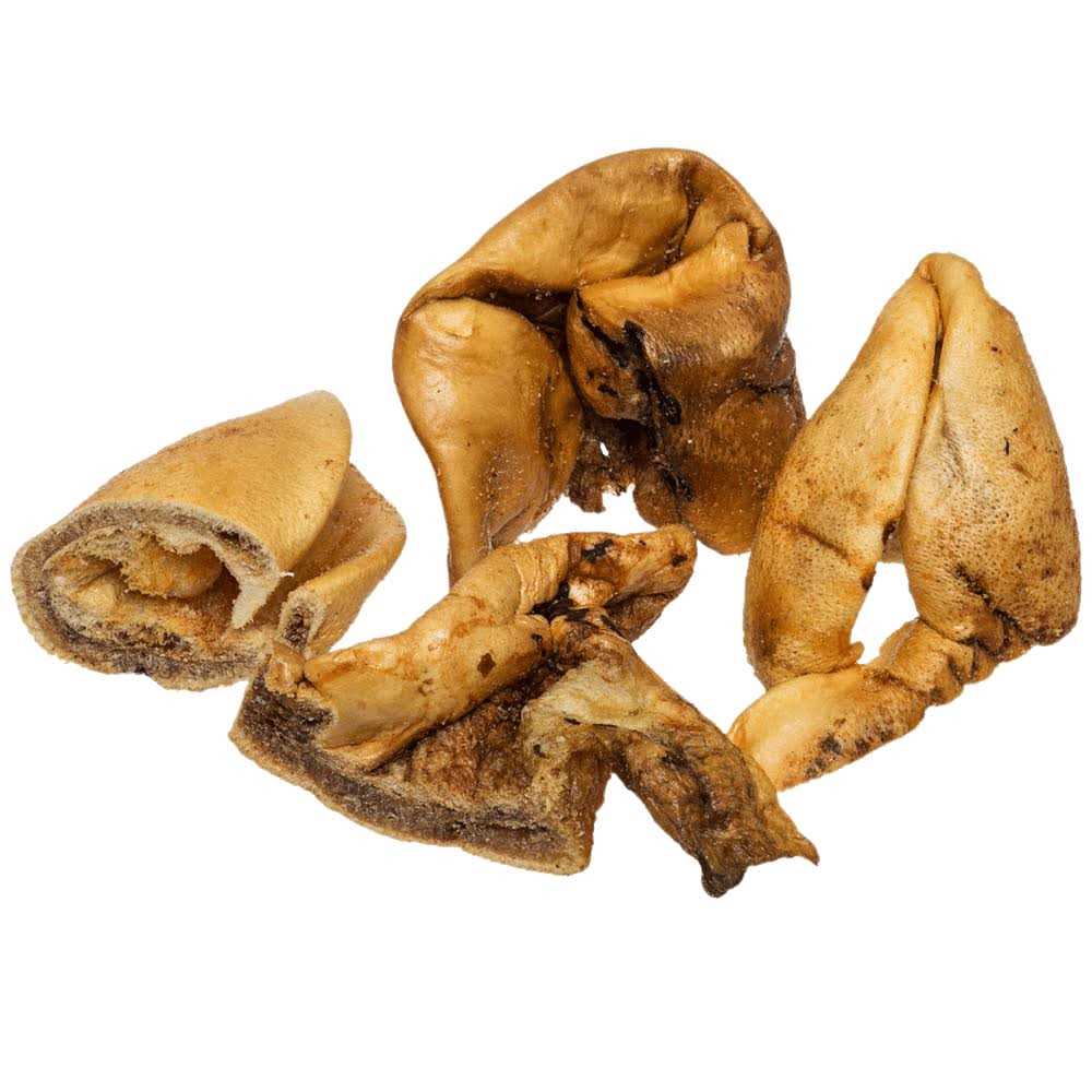 Dog Treats F289521