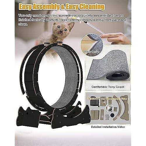 40 inch Solid Wood Cat Exercise Wheel L2041