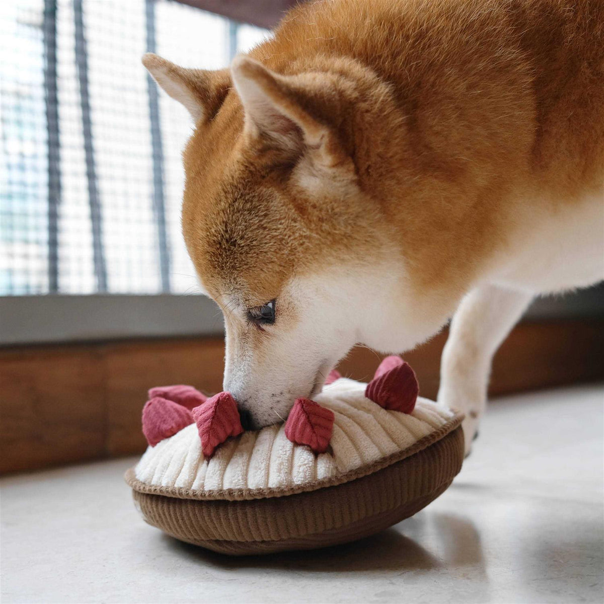 Enrichment Dog Toy L71041