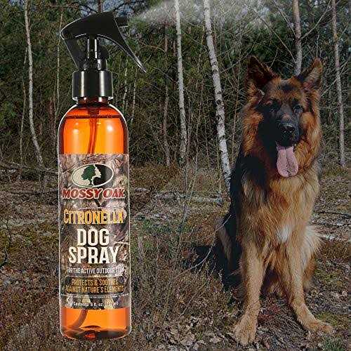 Citronella Dog Spray N41032