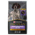 Dry Dog Food A642