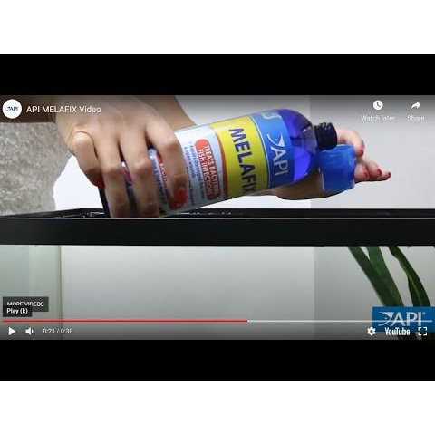 Fish Remedy S406