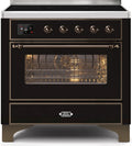 Glossy Black Induction Range with Electric Oven A82985