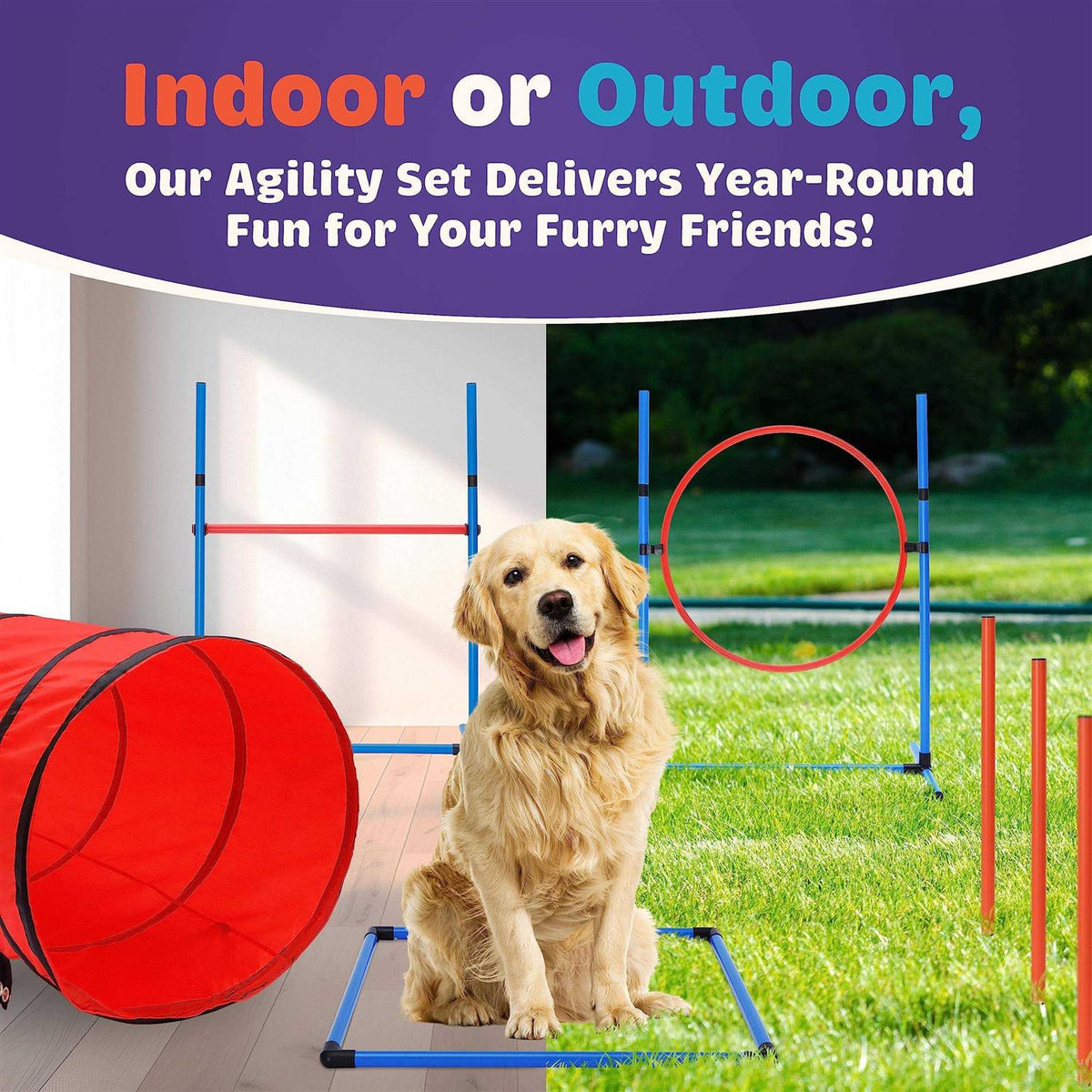 15 Piece Dog Agility Course Backyard Set B746