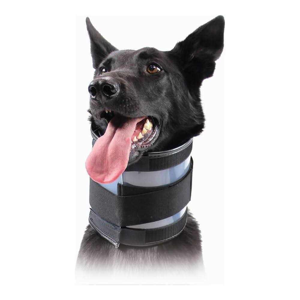 Cervical Collar O537939