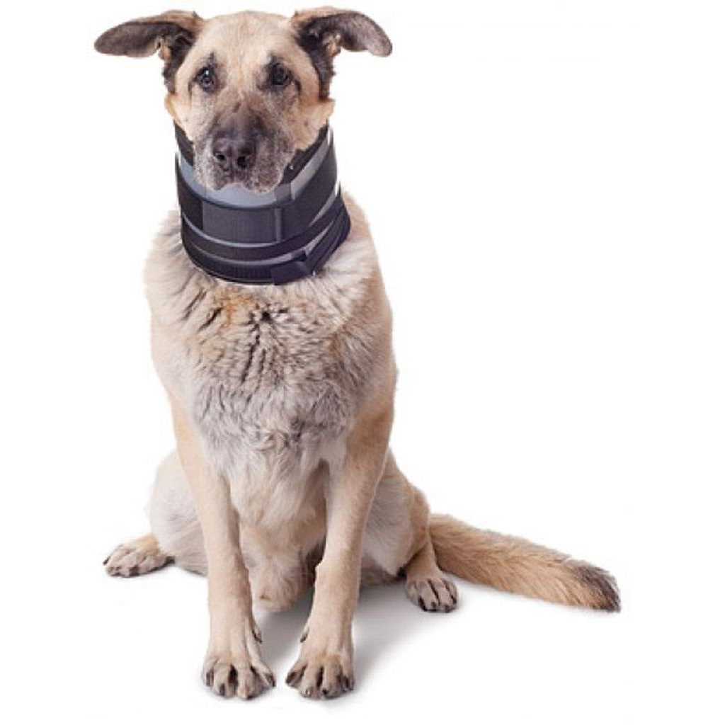 Cervical Collar O537939