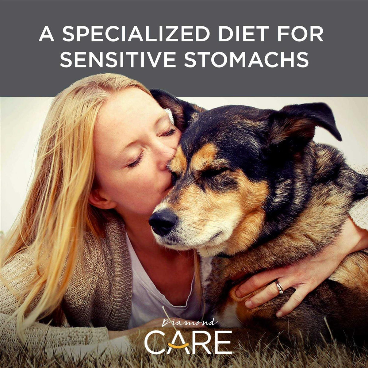 Sensitive Stomach Adult Dry Dog Food Q2633