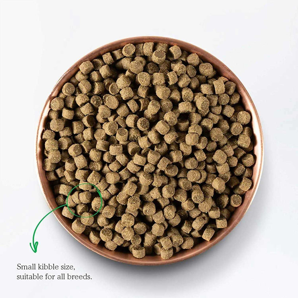 Senior Dry Dog Food R579