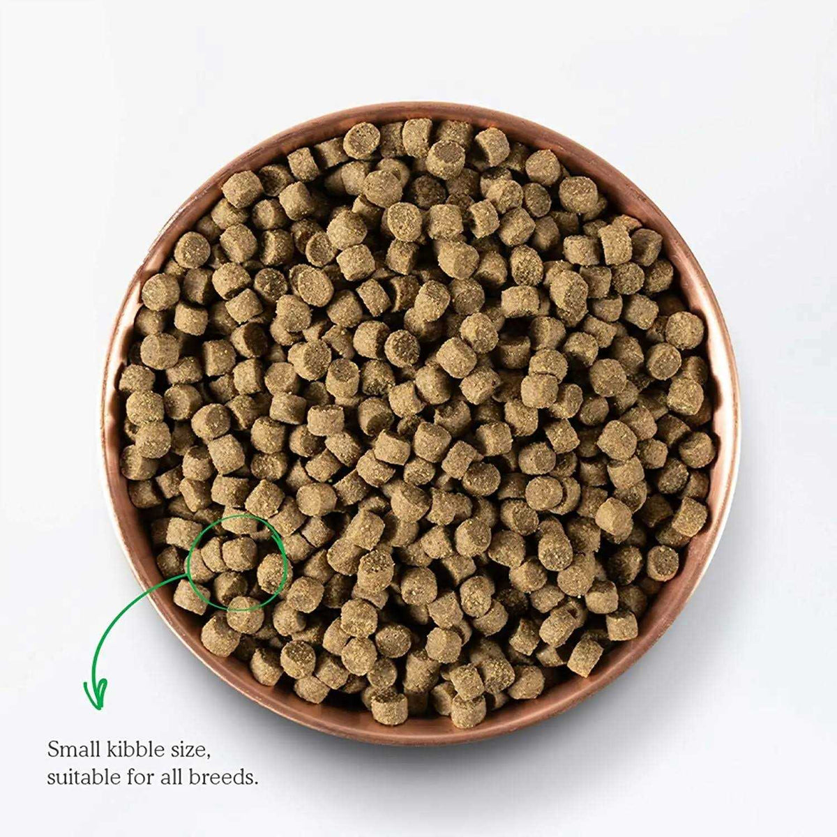 Senior Dry Dog Food R579