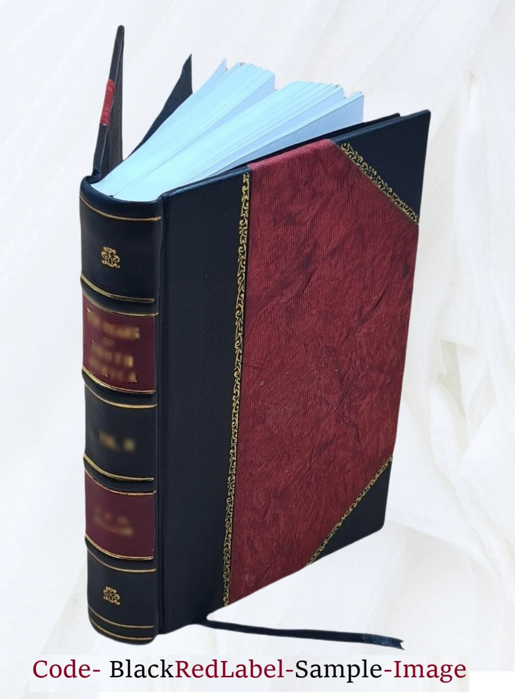 America as I saw it Leather Bound A5531
